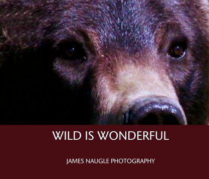 WILD IS WONDERFUL book cover