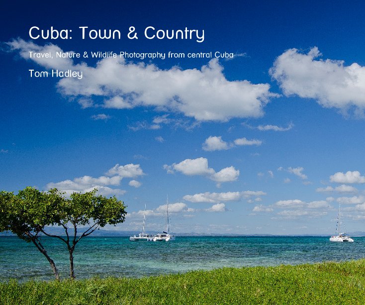 View Cuba - Town and Country by Tom Hadley