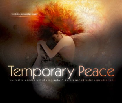 Temporary Peace book cover