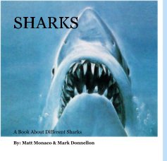 SHARKS book cover