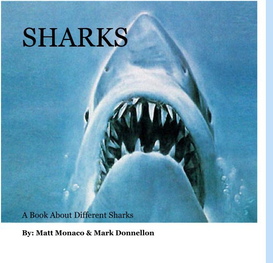 View SHARKS by By: Matt Monaco & Mark Donnellon