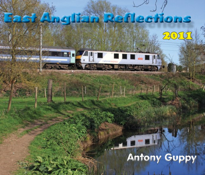 View East Anglian Reflections 2011 by Antony Guppy