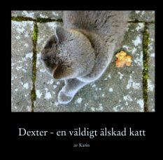 Dexter - en väldigt älskad katt book cover