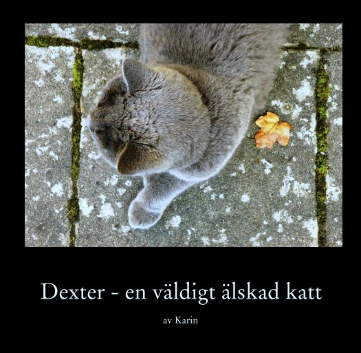 View Dexter - en väldigt älskad katt by av Karin