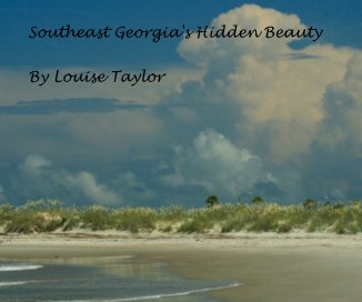 SouthEast Georgia's Hidden Beauty book cover