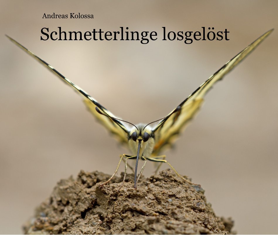 View Schmetterlinge losgelöst by Andreas Kolossa