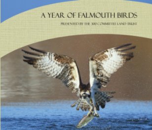 The Birds of Falmouth book cover