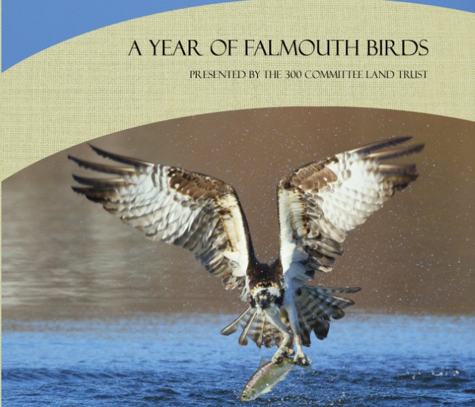 View The Birds of Falmouth by Craig Gibson