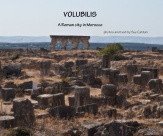 VOLUBILIS book cover