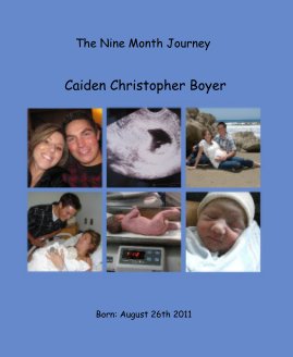 The Nine Month Journey book cover