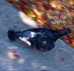 how to home like a pigeon book cover