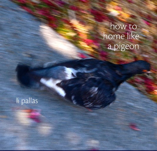 View how to home like a pigeon by li pallas