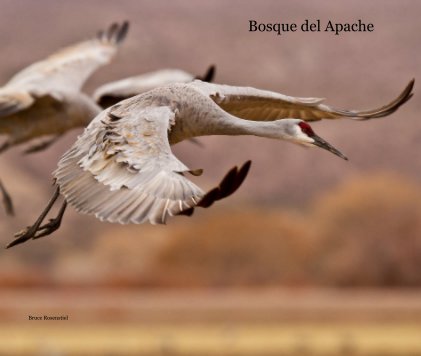 Bosque del Apache book cover
