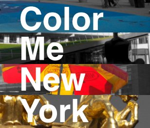 Color Me New York book cover