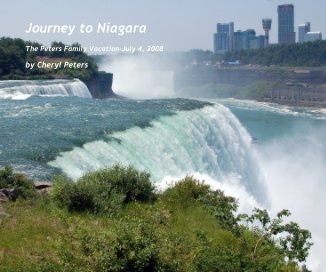 Journey to Niagara book cover