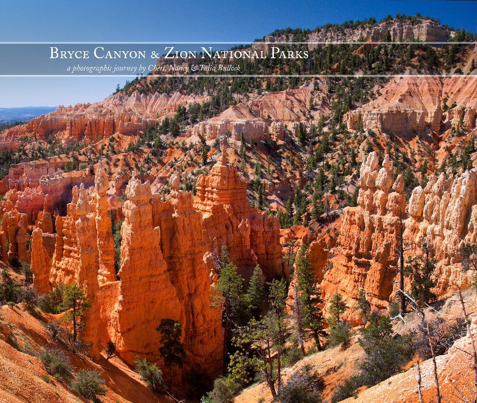 View Bryce Canyon &
Zion National Parks by Chett