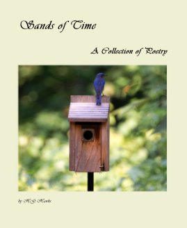 Sands of Time book cover
