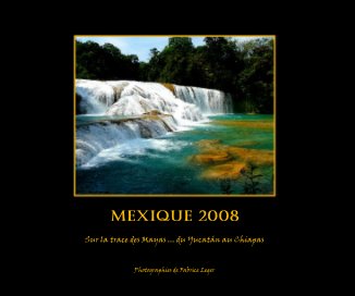 Mexique 2008 book cover