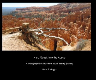 Hero Quest: Into the Abyss book cover