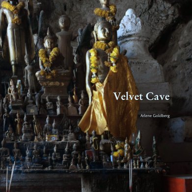 Velvet Cave book cover