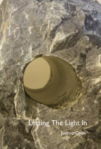 Letting The Light In book cover