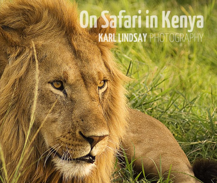 View On Safari in Kenya by Karl Lindsay