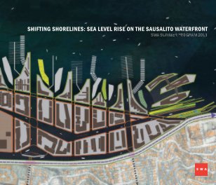 Shifting Shorelines book cover