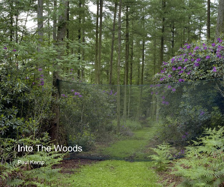 Visualizza Into The Woods di Paul Kemp