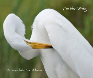 On the Wing book cover