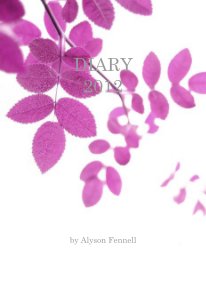 DIARY 2012 book cover