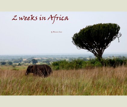 2 weeks in Africa book cover