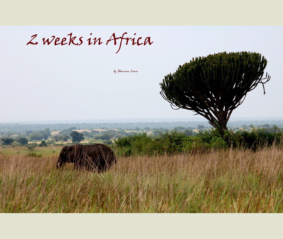 View 2 weeks in Africa by Shannon Lewis