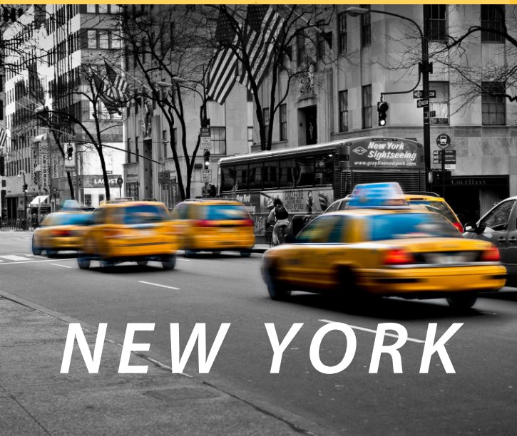 Visualizza New York di Bernard Bodart