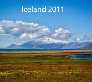 Iceland 2011 book cover