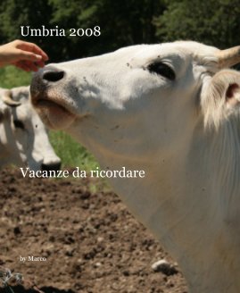 Umbria 2008 book cover