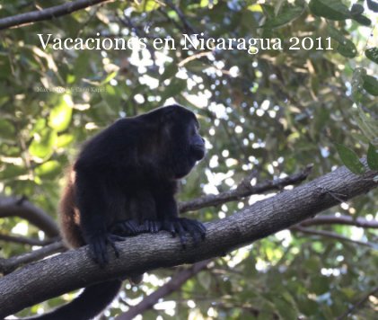 Vacaciones en Nicaragua 2011 book cover