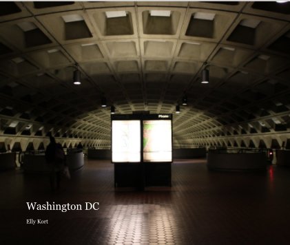 Washington DC book cover