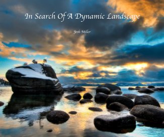 In Search Of A Dynamic Landscape book cover
