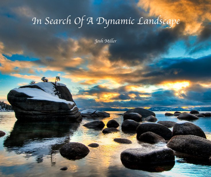 View In Search Of A Dynamic Landscape by Josh Miller