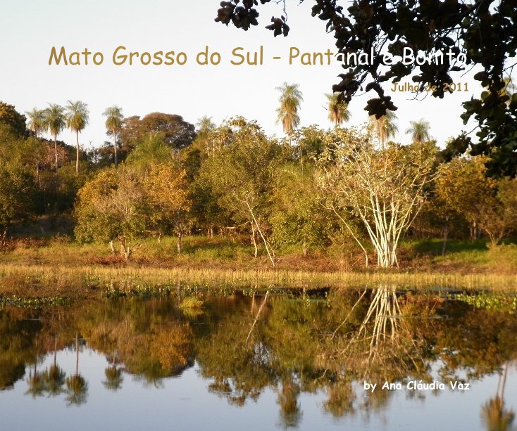 View Mato Grosso do Sul - Pantanal e Bonito by Ana Cláudia Vaz