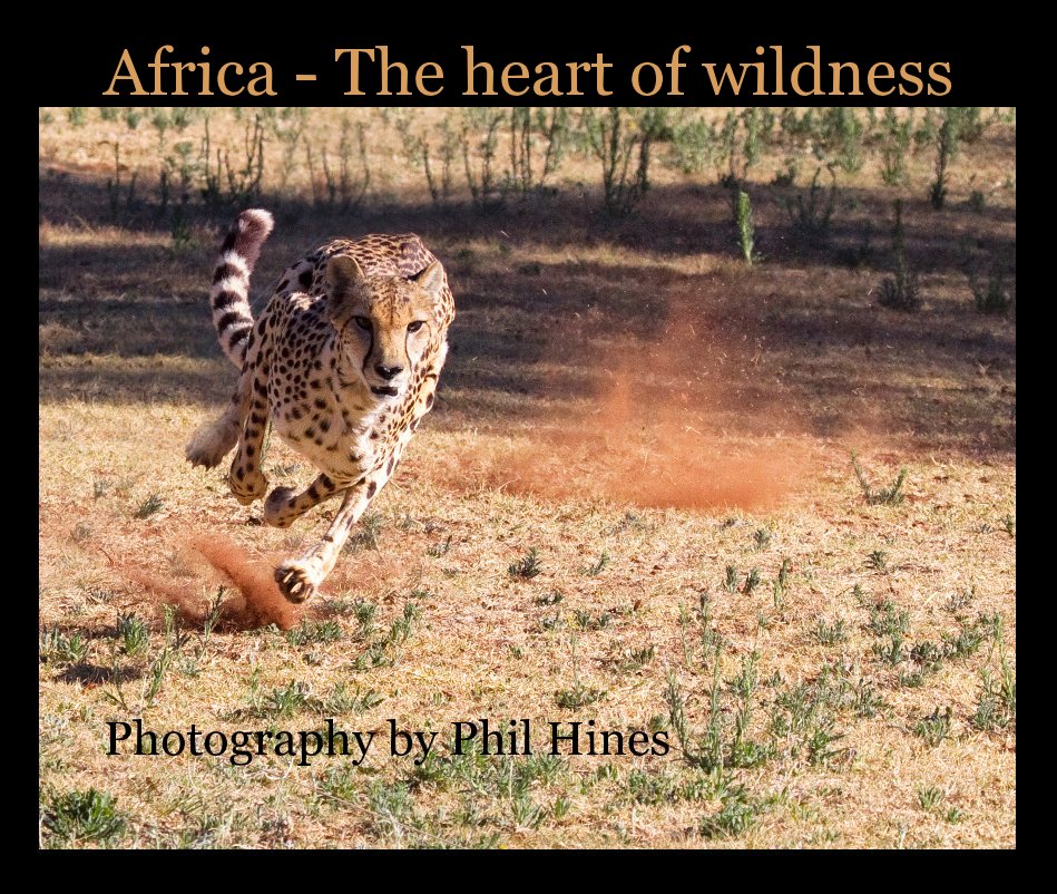 View Africa - The heart of wildness by Photography by Phil Hines