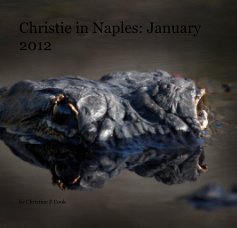 Christie in Naples: January 2012 book cover