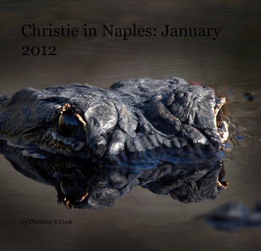 View Christie in Naples: January 2012 by Christine E Cook