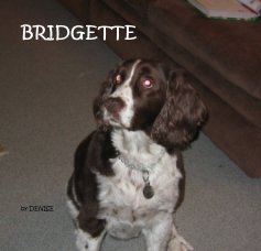 BRIDGETTE book cover