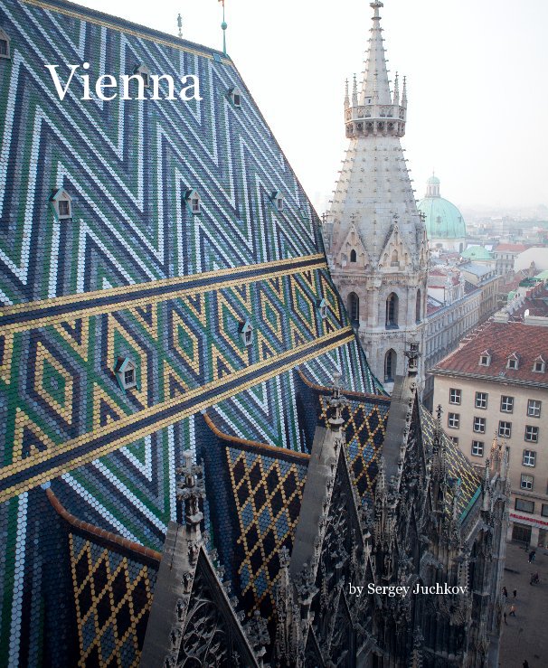 View Vienna by Sergey Juchkov