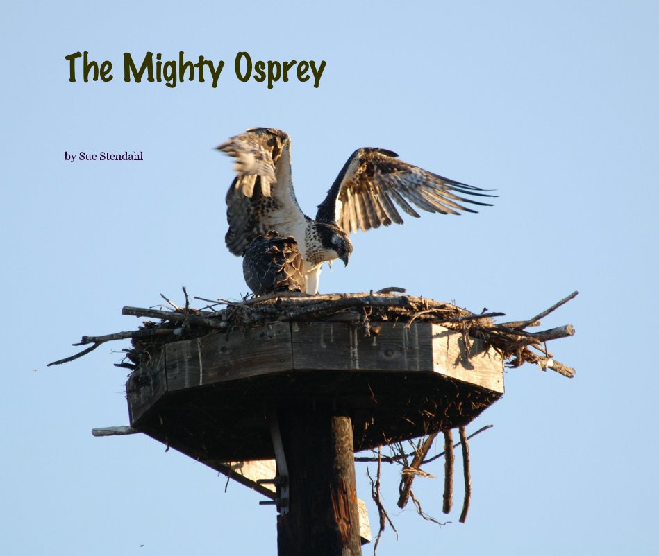 View The Mighty Osprey by Sue Stendahl