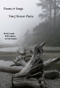 Poems & Songs Tim J Nestor-Patty With Friends Will Lokatys &Tom Haynes book cover