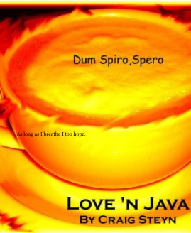 Love 'n Java book cover