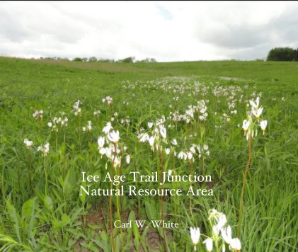 Ice Age Trail Junction Natural Resource Area book cover