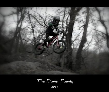 The Davis Family 2011 book cover